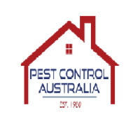 Termite Treatment Brisbane - Pest Australia