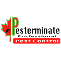 #1 Pest Control Service Toronto, ON