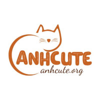 anhcuteorg