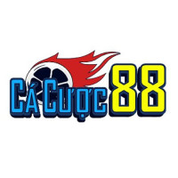 trang cá cược bóng đá uy tín