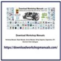 Workshop Manuals