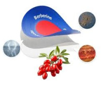 Purisaki Berberine Patches – Easy Daily Health Solution ?