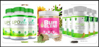 Metabolism, Energy, Balance: SlimJaro+, BurnBlend+, LipoVive Explained