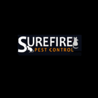 Sure Fire Wasp Removal Perth