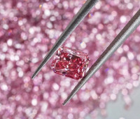 The Largest Argyle Pink Diamonds Online Stock | Jenny Bay