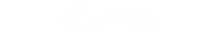 Pizarea