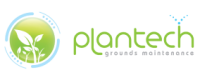 Tree Pruning Services Perth | Plantech