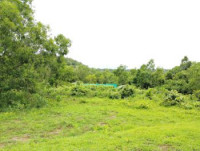 Prime Plot For Sale In Goa– Ideal for Investment & Living!