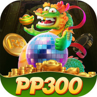 PP300
