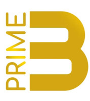 Prime Bullions Properties