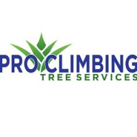 Pro Climbing Tree Services