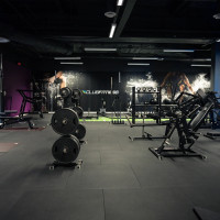 Buy Gym Flooring Dubai | #1 Rubber Tiles Shop | 20% OFF