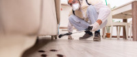 SureFire Pest Control Melbourne
