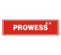 PROWESS - Best IELTS Institute in Ambala