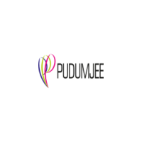 Specialty Paper and Crepe Tissue Manufacturer in India- Pudumjee