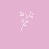 Purity Shine Corp