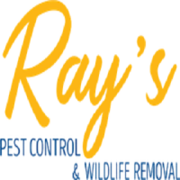 Ray's Pest Control and Wildlife Removal
