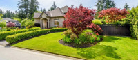 Top Landscaping Services in Dubai | Expert Garden Design & Maintenance