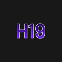 H19
