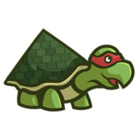 Excellent Roofing Services In Texas For Your Humble Abode - Roofing Turtle