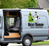 Best Darn Pest Control