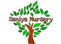 Plant Nursery In Bangalore