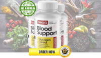 GlycoQ Blood Support Capsules Canada Health Support System