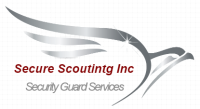 Secure Scouting Inc
