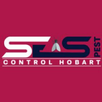 Termite Treatment Hobart