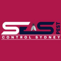 Bed Bug Treatment Sydney