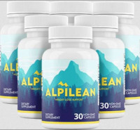 THIS ESSAY IS GOING TO SHOW YOU HOW TO DEAL WITH ALPILEAN