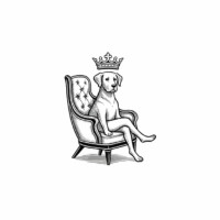 Sit N Stay Furniture