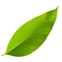 list