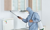 Termite Control Melbourne