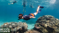 beyond oceans-frm island sand to pan indian dreams