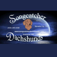 Songcatcher Dachshunds