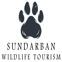 Sundarban Wildlife Tourism - Red Panda Tour