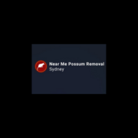 Possum Removal in Sydney | Possum removal Sydney