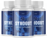 Synogut Stabilizes Cholesterol And Blood Glucose Levels