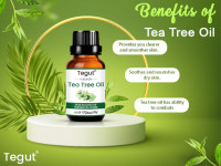 Tegut tea tree oil
