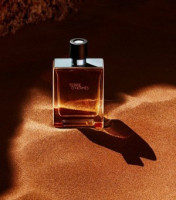 terre d'hermes edt 100 ml