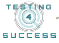 test website functionality