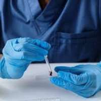 London Blood Tests