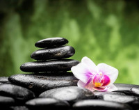 Center for Acupuncture & Anti-Aging Medicine