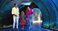 The National Aquarium Abu Dhabi