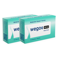 Wego6: Advanced Support for Energy, Balance, and Health