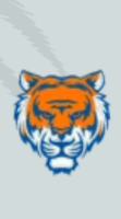 tiger365