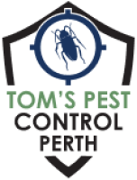 Pest Inspection Perth | Tom’s Pest Control Perth