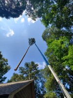 Prime Tree Service