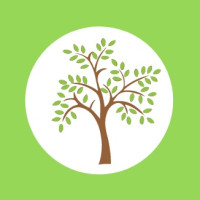 Tree Surgery in Essex | Tree Surgeon in Essex | Treecology